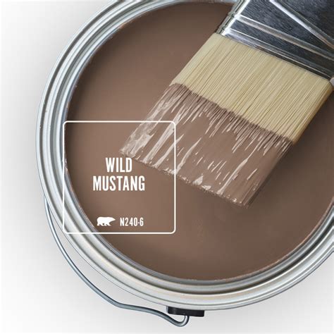 Wild Mustang is the November Color of the Month | Colorfully, BEHR