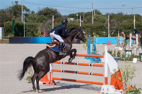 Horse jumping competition | Premium Photo