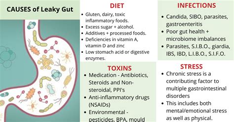 Causes-Leaky-Gut- | Sally Pattison