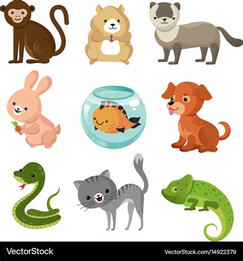 Picture Of Pets Cartoon - PetsWall