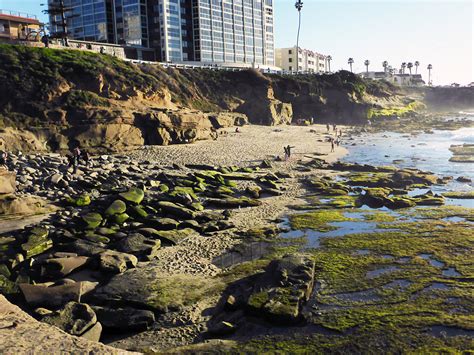 Shell Beach: the La Jolla Tide Pools, California