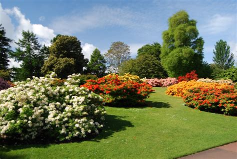 Jason Lattier's Garden Journal: Royal Botanic Gardens Edinburgh