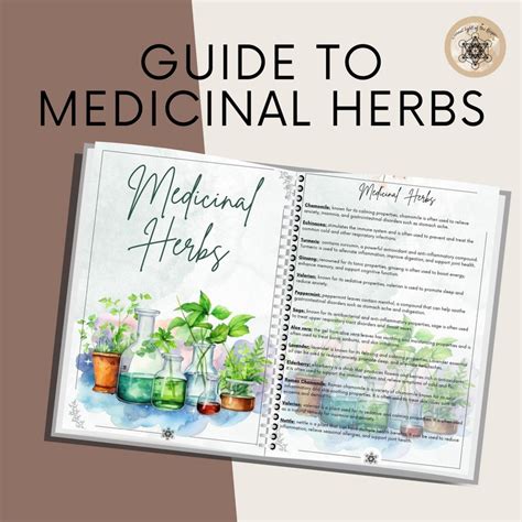 Printable Herbal Medicine Guide: A4 PDF on Medicinal Herbs, Herbal ...