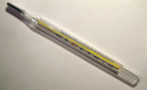 File:Clinical thermometer 38.7.JPG - Wikimedia Commons