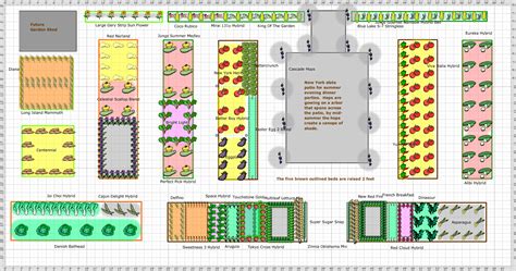 Garden Plan - 2011: Vegetable Garden plan 1