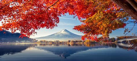 Colorful Autumn Season and Mountain Fuji with morning fog and red ...