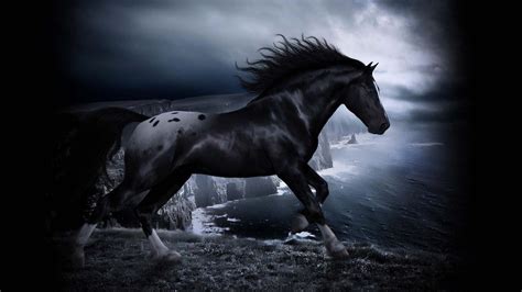 Cool Horse Wallpapers Group (75+)