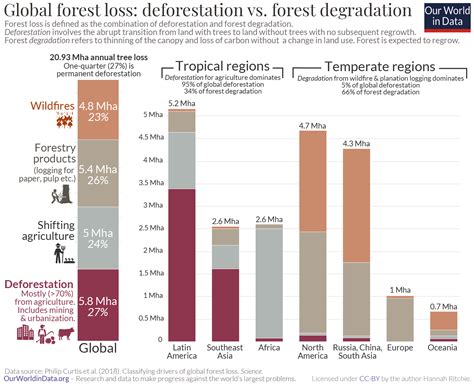 Forests and Deforestation - Our World in Data