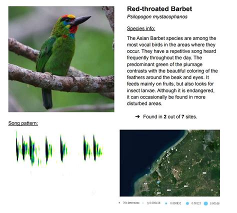 Protecting Malaysia’s Sarawak Rainforest with Technology – Huawei BLOG