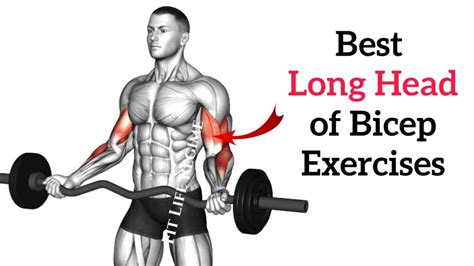 12 Best Long Head Bicep Exercises For Massive Peaks