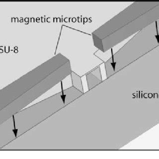 Fluidic experiment showing the displacement of the meniscus of a ...