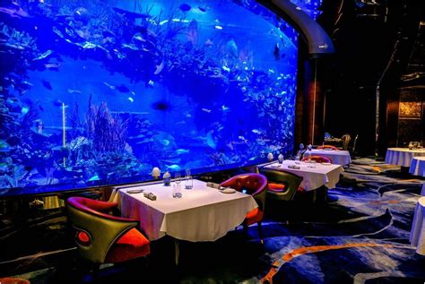 Burj Al Arab restaurant, which dining option to choose