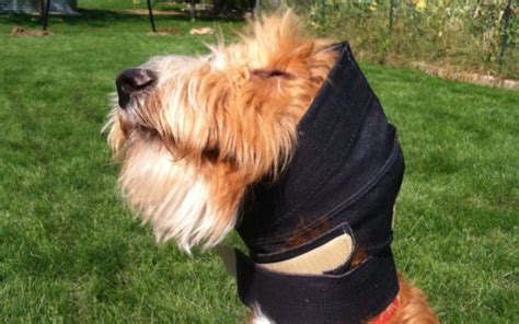 No Flap Ear Wrap – No Flap Ear Wrap Ear Protection, Ear Wrap, Dog Ear ...