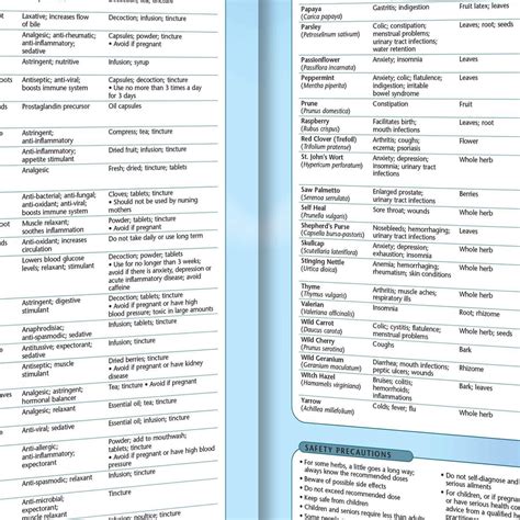 Herbal Medicine Chart (Doublesided, 8.5" x 11") – Eastern Currents