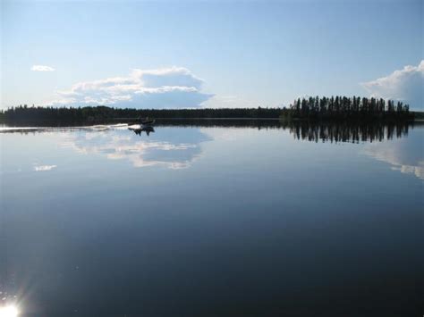 Pictures of Northern Saskatchewan Wildlife