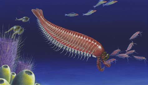 Five-eyed fossil illuminates arthropod evolution - Techzle