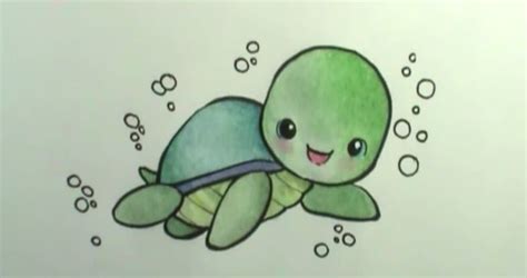 turtle drawing easy cute - This Is A Good Blogging Portrait Gallery