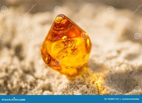 Amber on a Beach of the Baltic Sea Stock Image - Image of closeup ...