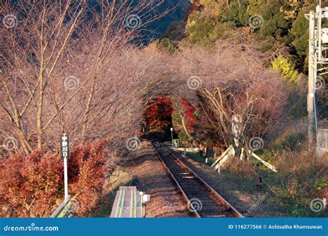 Autumn View of Railroad Tracks at Sagano Scenic Railway. Stock Photo ...