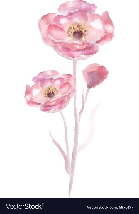 Pink watercolor flower Royalty Free Vector Image