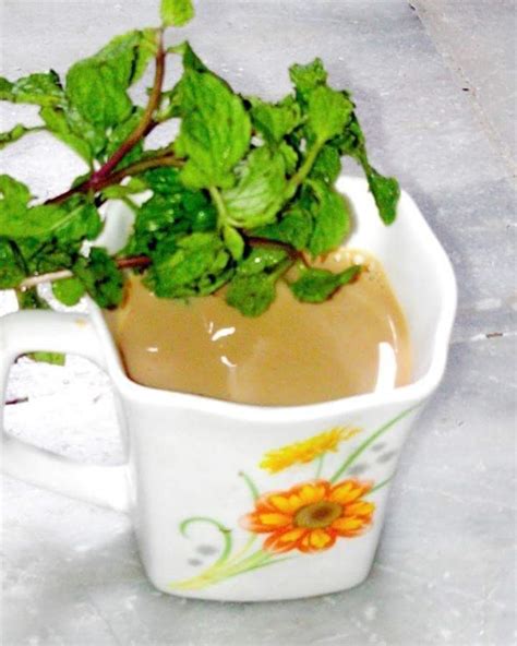 Mint tea (Pudina chai) - Shilpsnutrilife