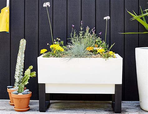 This self-watering planter box is the green thumb you never had