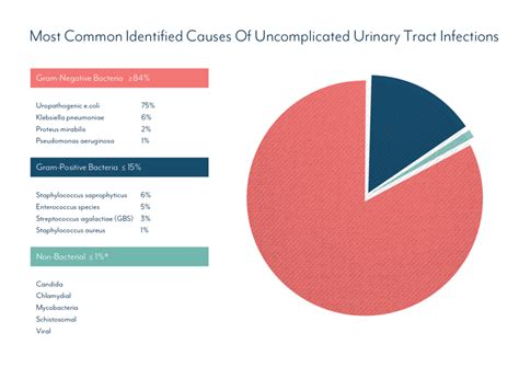 What Causes A Urinary Tract Infection? How Do You Clear UTI?