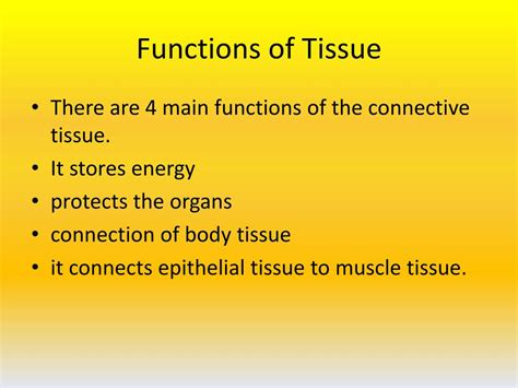 PPT - Connective Tissue PowerPoint Presentation, free download - ID:1777143