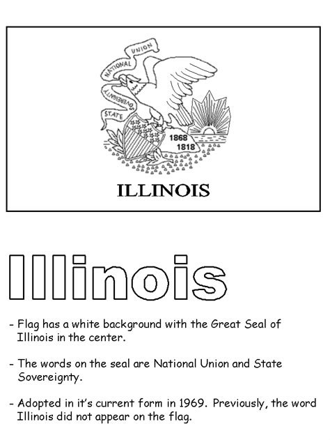 Illinois State Flag