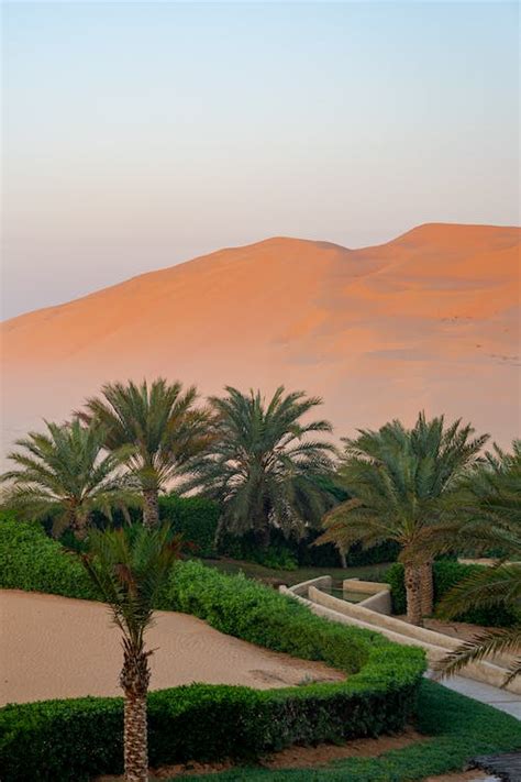 A Desert Oasis · Free Stock Photo