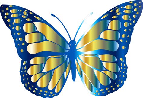 Butterfly Vector at GetDrawings | Free download