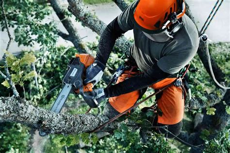 Husqvarna Husqvarna Chainsaws - Central Scotland Dealer - Calido Logs ...