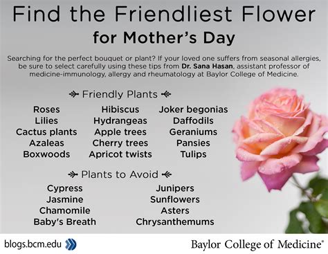 Plants, flowers and allergies: Choose wisely! - Baylor College of ...