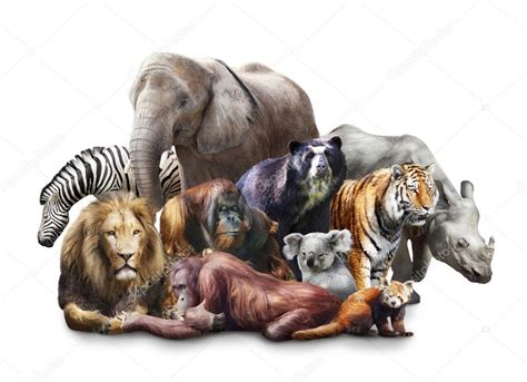 Group of animals Stock Photo by ©Elena Schweitzer 11487368