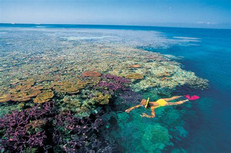 My greatest world destination: Great Barrier Reef, Australia