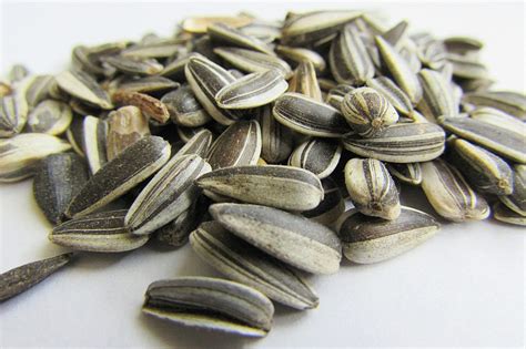 Flavored Sunflower Seeds Are All the Rage - thedancingcucumber.com