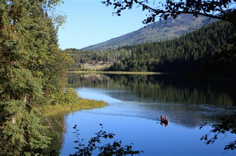 Stay at Alpine Meadows Lakeside Resort: Book Now with Bushbaby