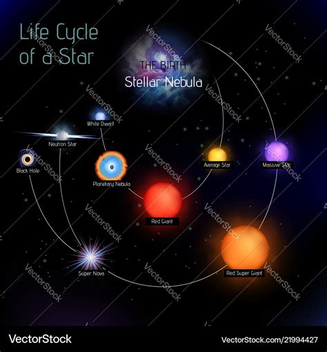 Sun life cycle in round shape Royalty Free Vector Image