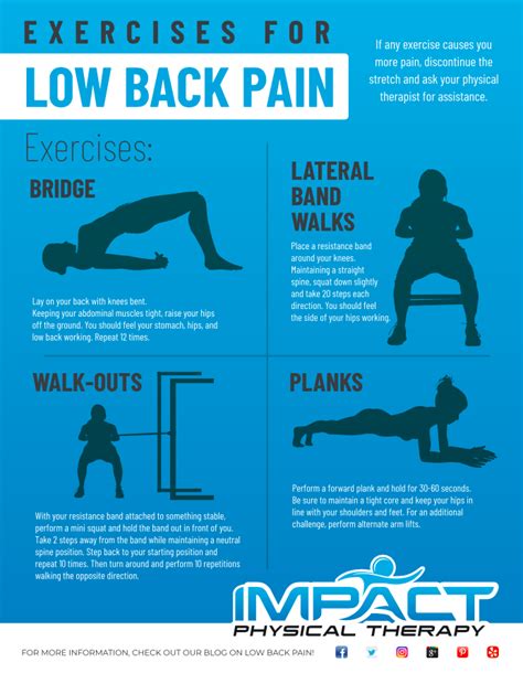 4 Key Exercises For Low Back Pain