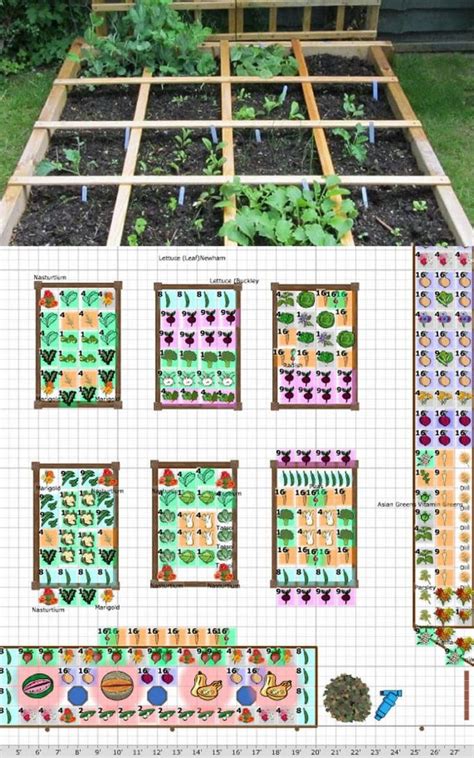 Vegetable Garden Layout: 7 Best Design Secrets | Garden layout ...