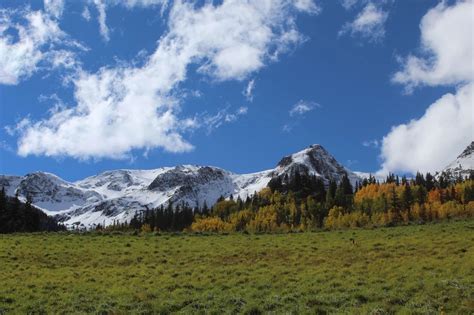 The Most Scenic Fall Color Drives in Colorado