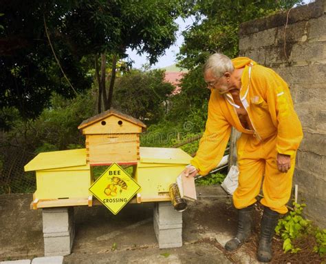 A Beekeeper Checking His Inventive Double Hive with an Automatic Honey ...