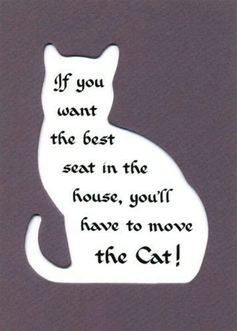 Best Animal House Quotes. QuotesGram