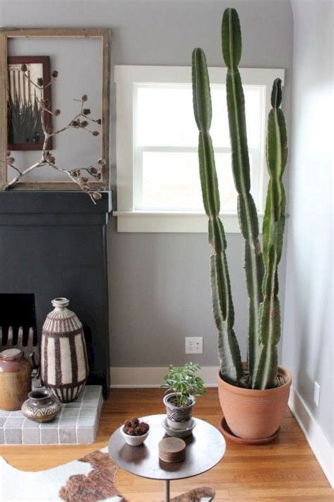 30+ Awesome Indoor Cactus Ideas For Cozy Home Interior Design - napier ...