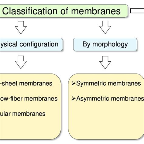 An overview of membrane classification. | Download Scientific Diagram