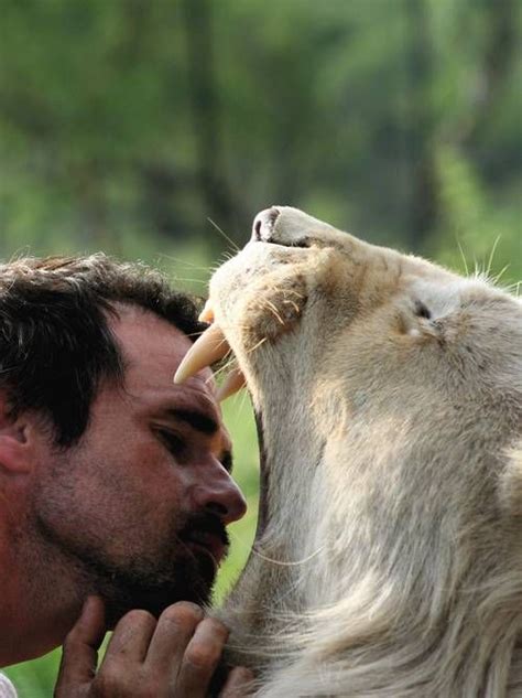 Meet Kevin Richardson: The Lion Whisperer | Kevin richardson, Animals ...