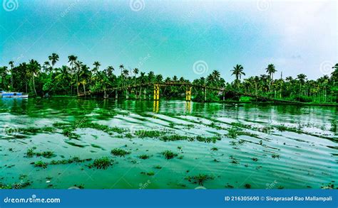 Beautiful Backwaters in Alleppey, Kerala, India Stock Photo - Image of ...