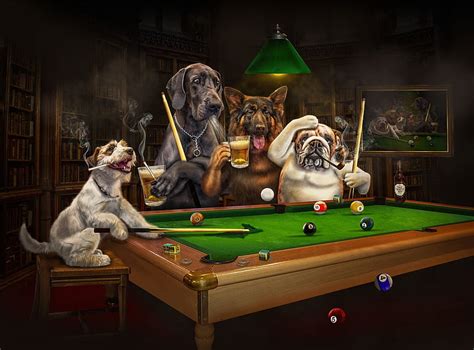 Playing billiard, fantasy, green, caine, funny, creative, dog, animal ...