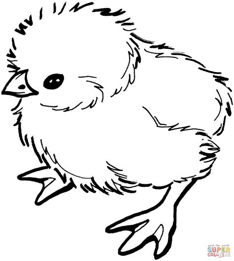 Free Baby Chick Clipart Black And White, Download Free Baby Chick ...