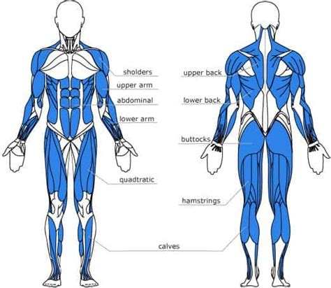 Rowing Machine Abs Benefits - Rowing Machine King